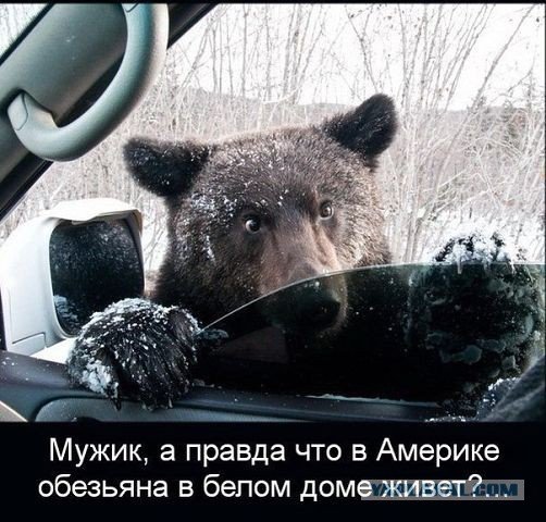 Американский журналист читает ЯП?