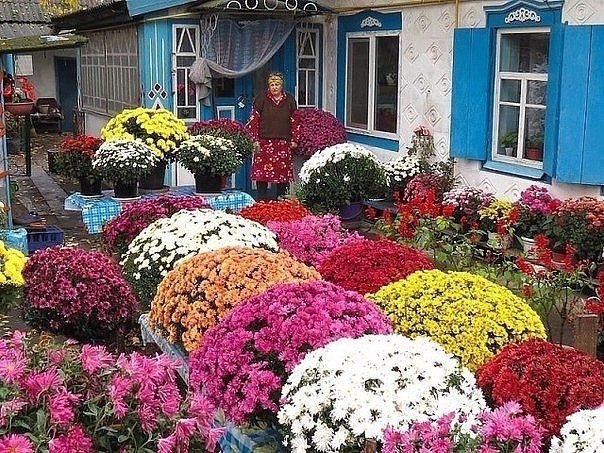 Подборка интересных и веселых картинок