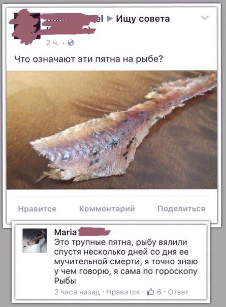 Ужасы и приколы из соцсетей 18+