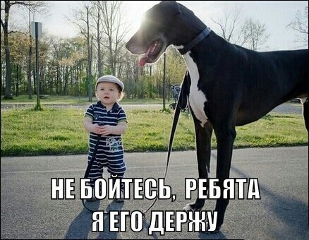 Подборка интересных и веселых фото