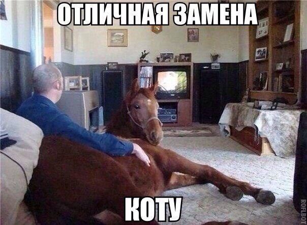Странный юмор на пятницу.
