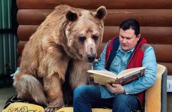 Подборка картинок с просторов...