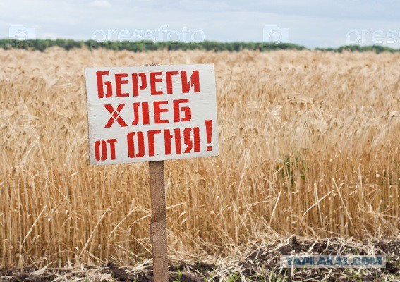 Пока сам себе не поможешь, - никто не поможет.