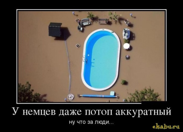 Порция картинок из сети