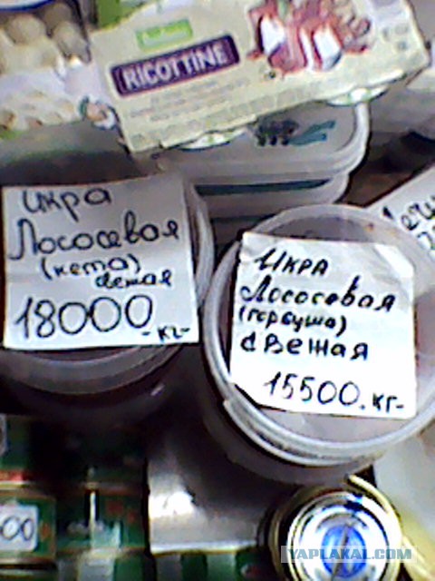 Лосось до и после нереста