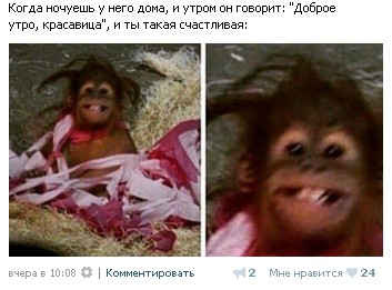 Все друг друга поняли (Смехопанорама)