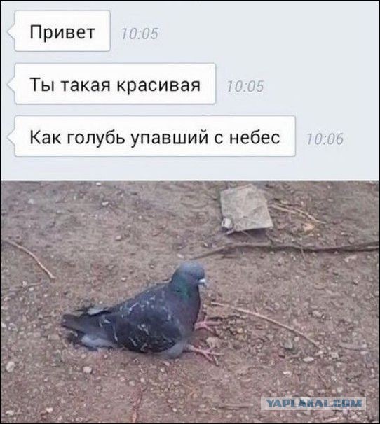 Смешные комментарии из социальных сетей 28.04.2017
