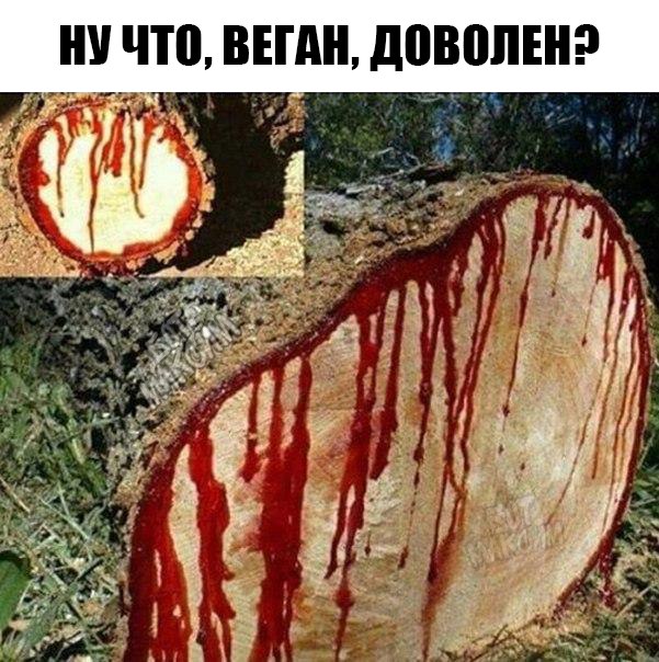 Картинки с глубочайшим жизненным смыслом