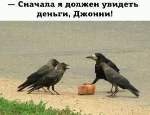Подборка смешных комментариев из сети