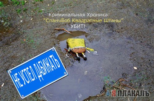 Шокирующее убийство