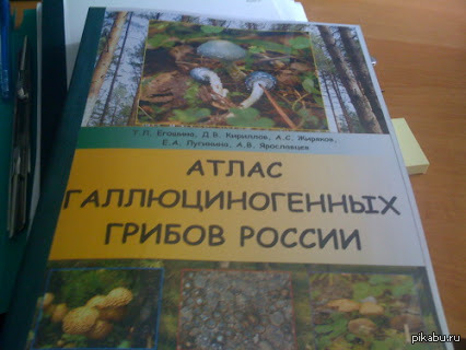 На каком языке он разговаривает?
