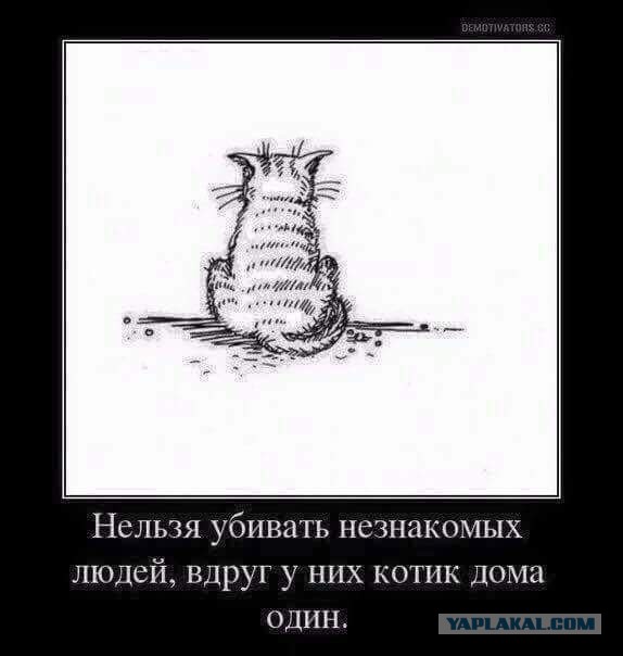 Картинки прикольные я не могу без тебя