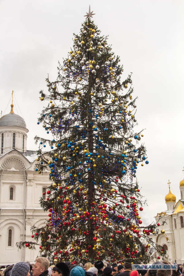 Сегодня зажгли елки в городах