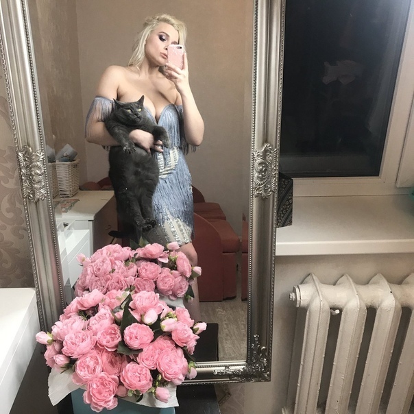 Прикольных котов пост
