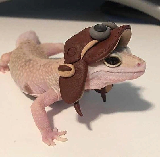 Живность из сети