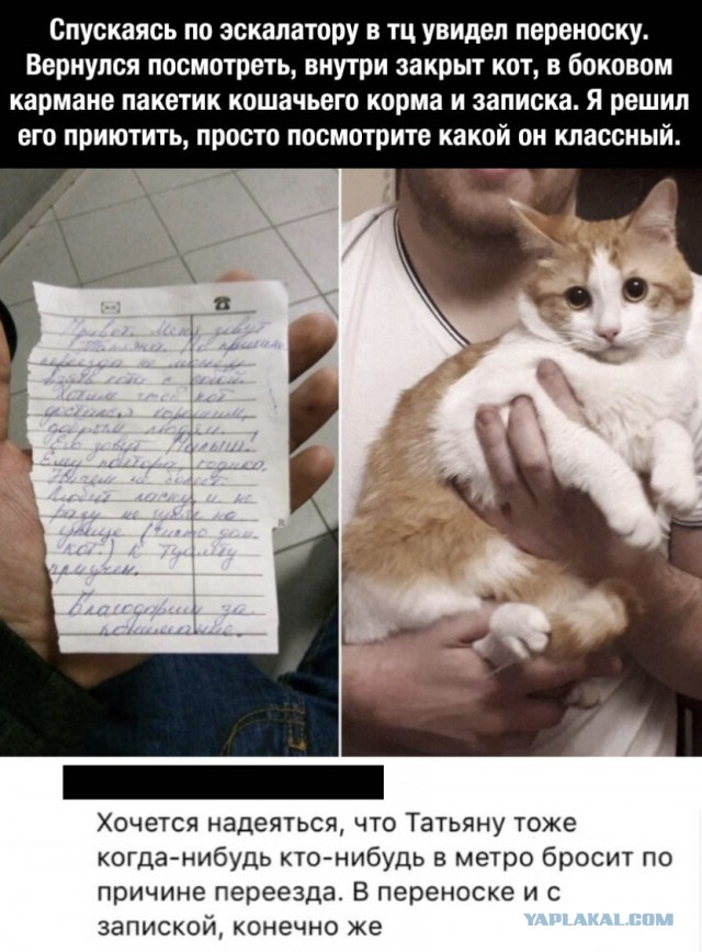 Немного картинок для настроения 31.10.19
