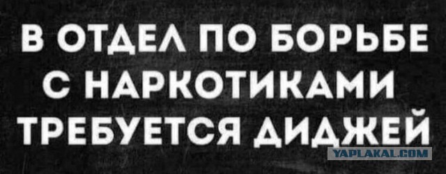 Во Внуково из камеры хранения вещдоков пропали 105 кг наркотиков