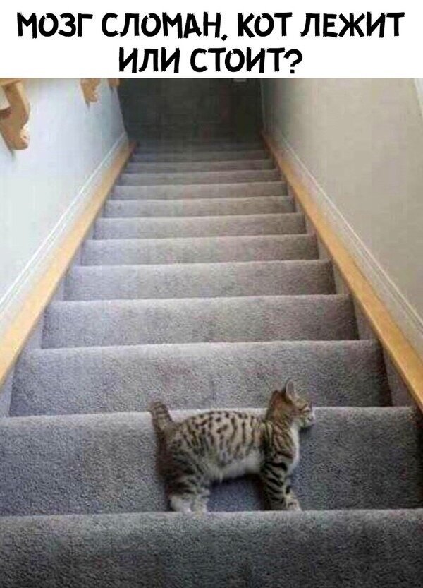 Бредзона