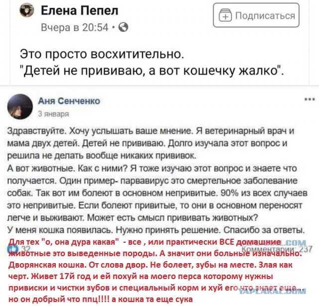 Бредзона 04.03.2020