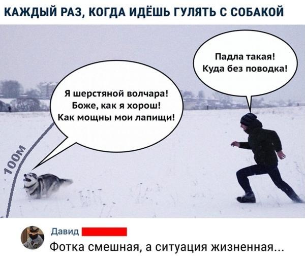 Так себе картинки 9