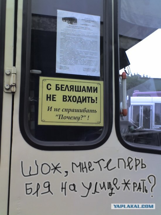Не входить с беляшами!