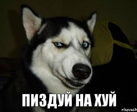 Да и скатертью дорожка! “Если Ефремова посадят, я пойду с ним”, – заявил Алексей Панин