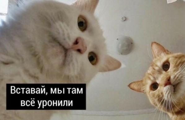 Ты еб@...сь что-ли, Наташа бл..ть!