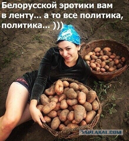 Фотки и картинки: юморные и красивые, забавные и милые 03.10.20
