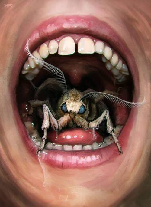 Crazy Art "Гарантия от производителя"