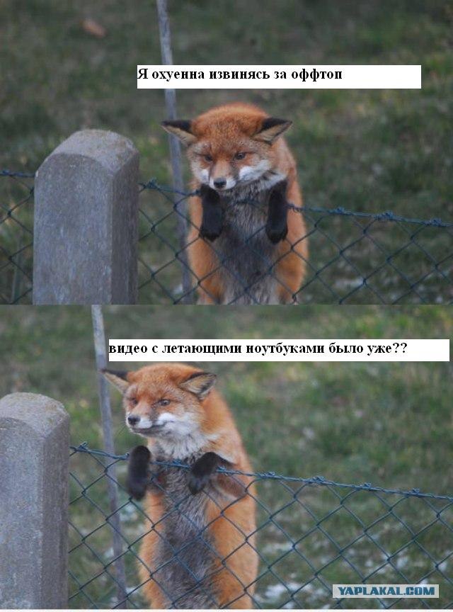 Таксидермия + наркомания