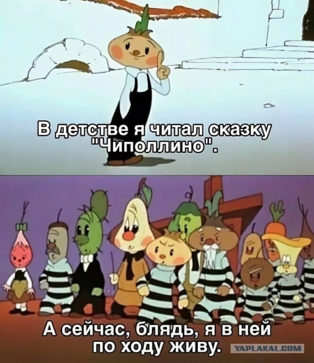 Житель Воронежа получил документ с оскорблением от ФССП