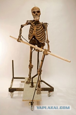 Miss Neanderthal