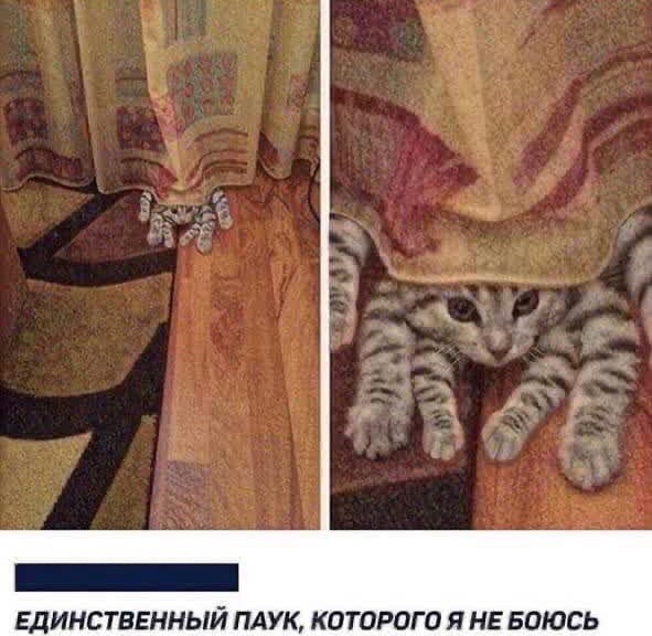 Так себе картинки 31.10.21
