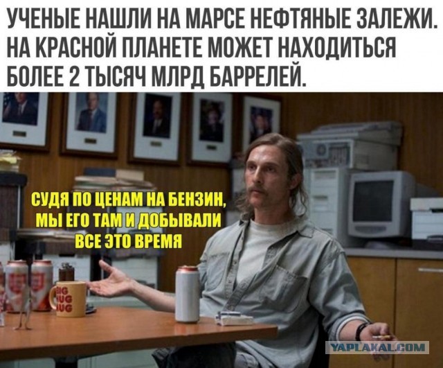 Член госдумы объяснил, почему выращивать картошку невыгодно
