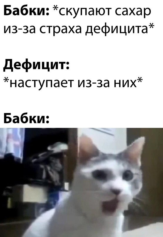 Весёлый полтишок 23.03.22
