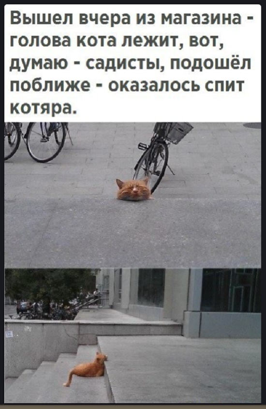 Картинки с надписями и всякие жизненные фразы