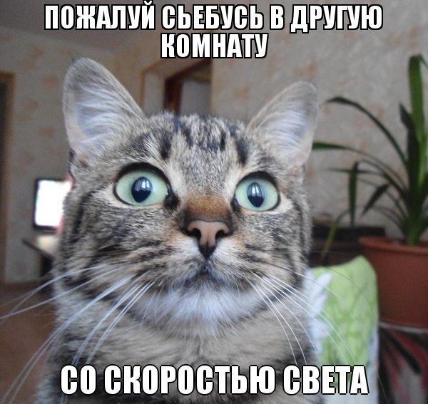Картинки. Баян-прибоян Япа