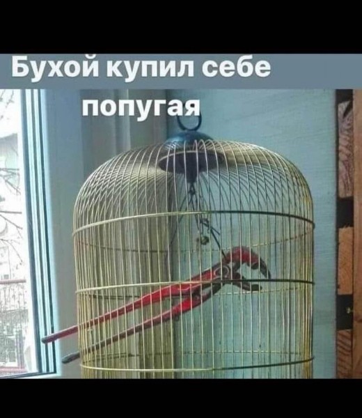 Пятница. Вечер. Картинки всякие #12