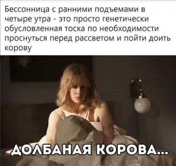 Картинки и мемы для настроения - 19