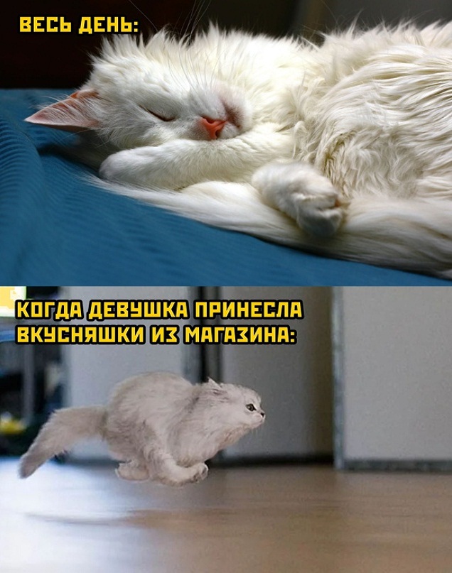 Картинки и мемы для настроения - 27