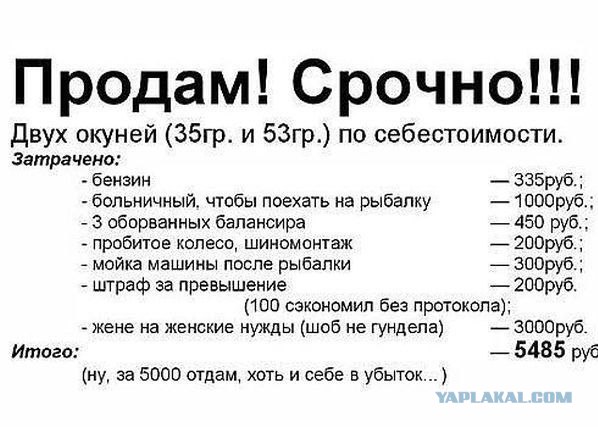 Учитесь ловить рыбу