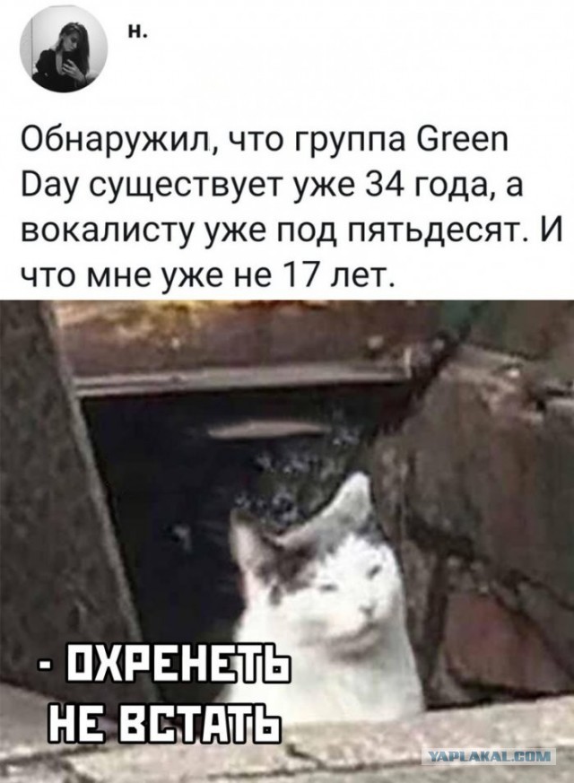 Скриншоты и комментарии из социальных сетей 02.12.22