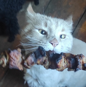 Мои мелкие собаки
