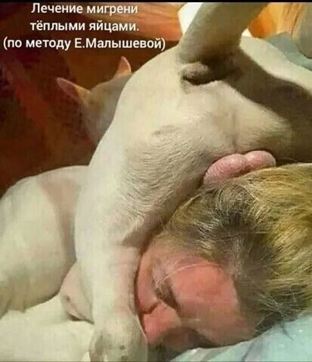 Первосубботние картинки