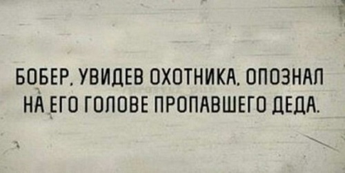 Фарш из баянов