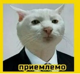 Украшаем дачный участок своими руками