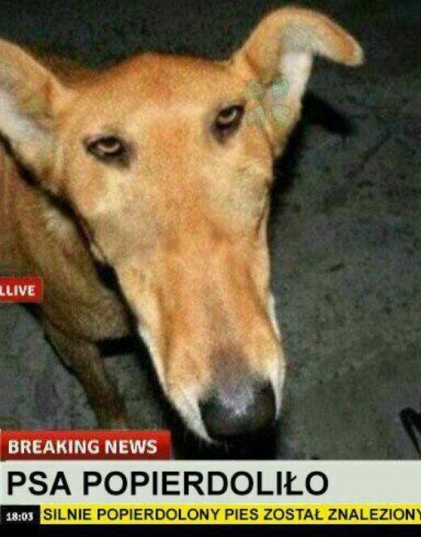 Испуг