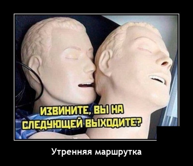 Весёлый полтишок 08.05.23