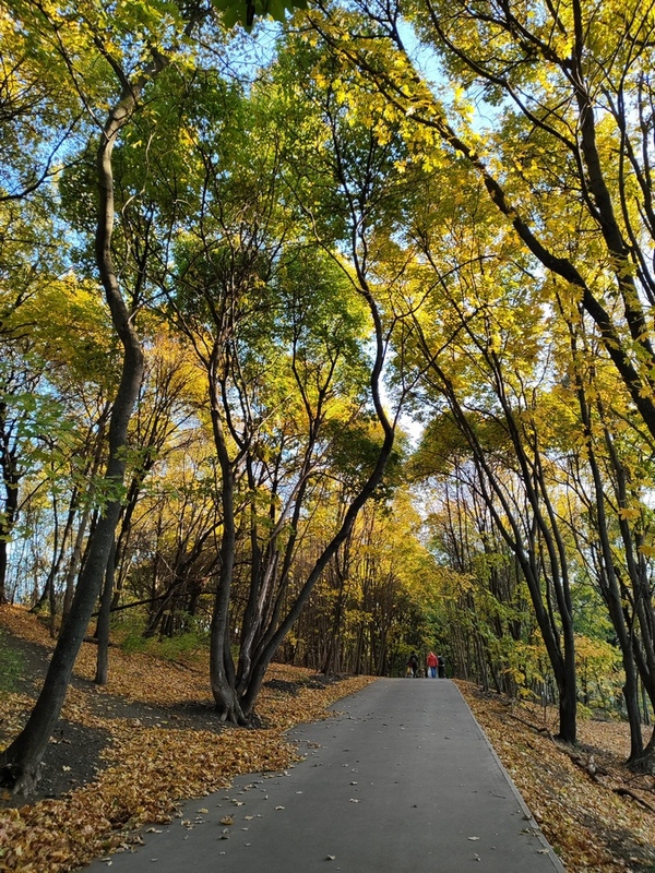 Диагноз: Саратов