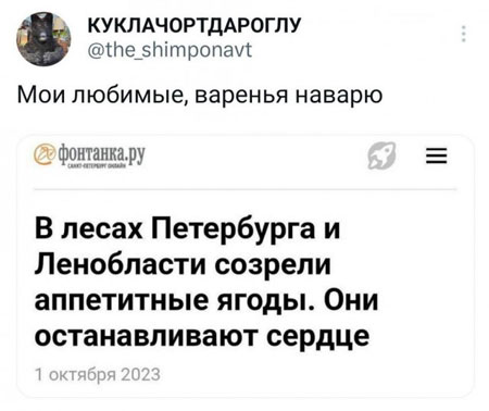 Новый день. Новое похмелье. Новые бояны